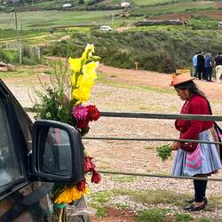 Indiofrau mit Blumenopfer