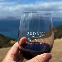 Wein, Aussicht aufs Meer, Sonne