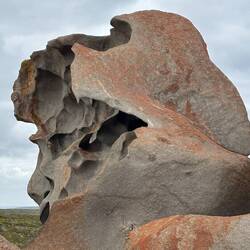 Schau genau, Elvis lebt!