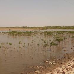 Eine große Wasserfläche nach Soma
