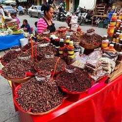 verschiedene Insekten, knusprig, dazu auch gleich die Saucen