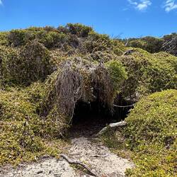 Seelöwen-Wohnung für kältere Tage