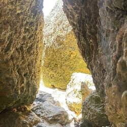 Weg zur hidden bay - Stokes Bay