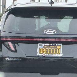 Keks-Fan?