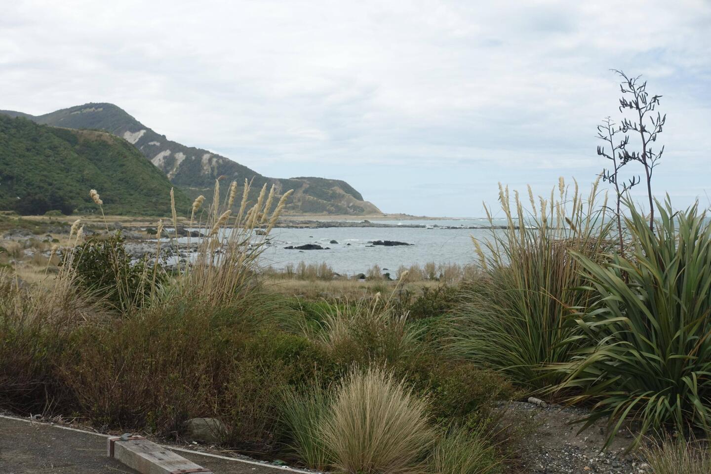 Paparoa Point