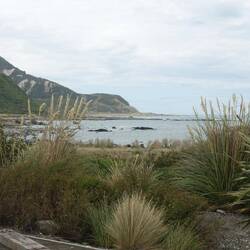 Paparoa Point