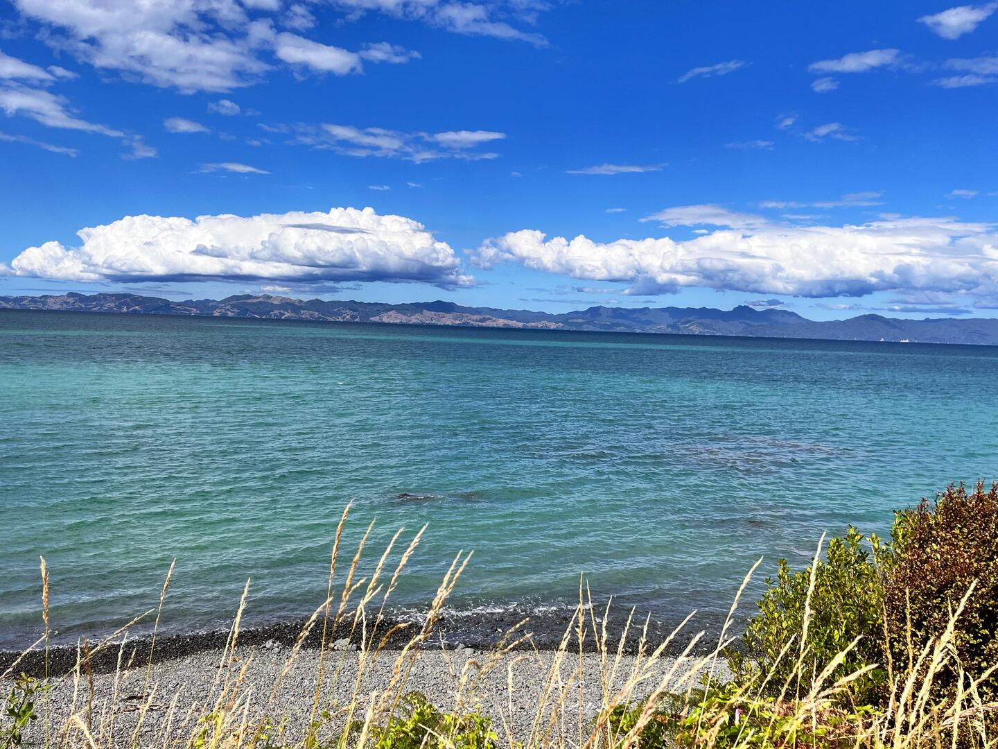 Blick auf die Coromandel