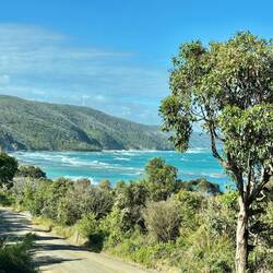 Cape Otway