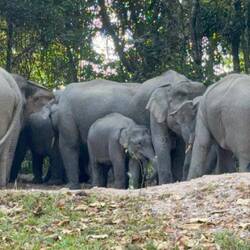 Die hemmer verpasst...