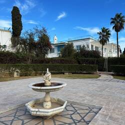 Royal Palais Jardin- Mosque in the background