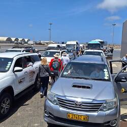All the cars, vans and buses lined up at the start of the day's tour.