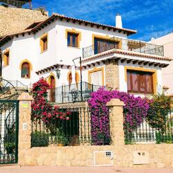 Diese Blütenpracht mitten im Winter