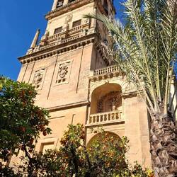 Mezquita-Catedral