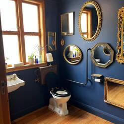 Schönste Toilette Neuseelands? 🤔