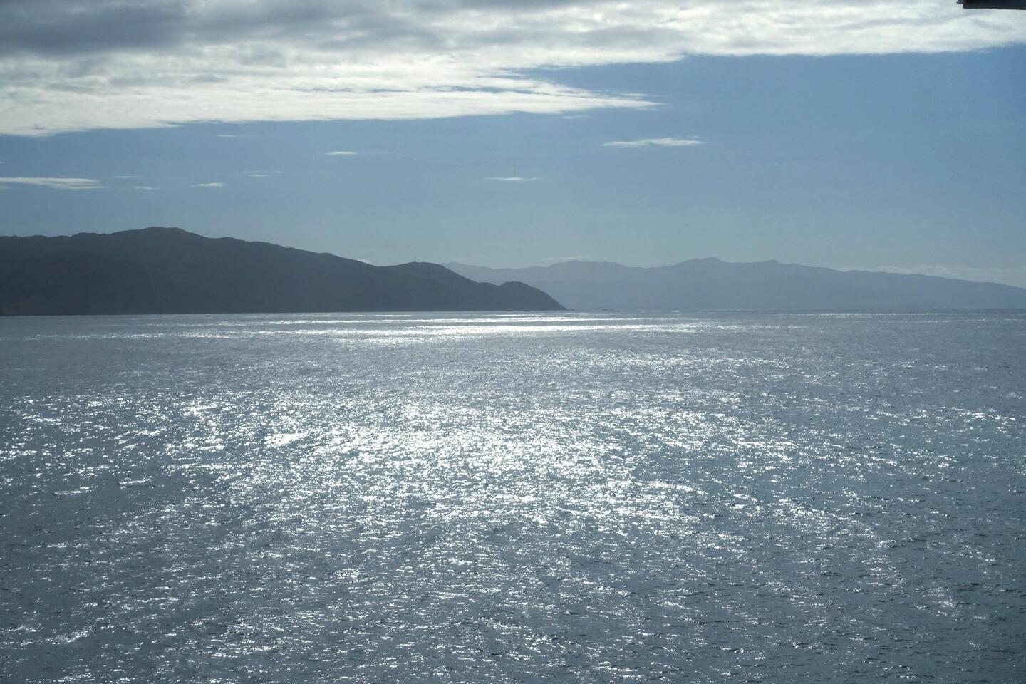 Picton - Wellington