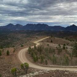 Bunyeroo scenic drive