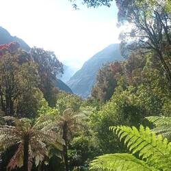 Foxgletscher im Hintergrund