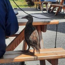 Friendly Weka