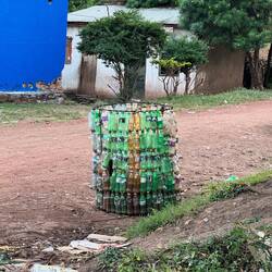 Pflanzenschutz aus Plastikflaschen