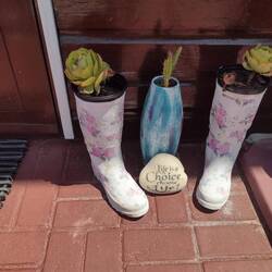 All the creative ways of displaying plants in Suzette's garden