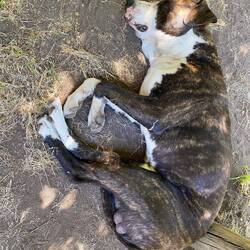 mechanische Unterstützung vor Ort