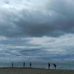 Les pêcheurs en action 🎣