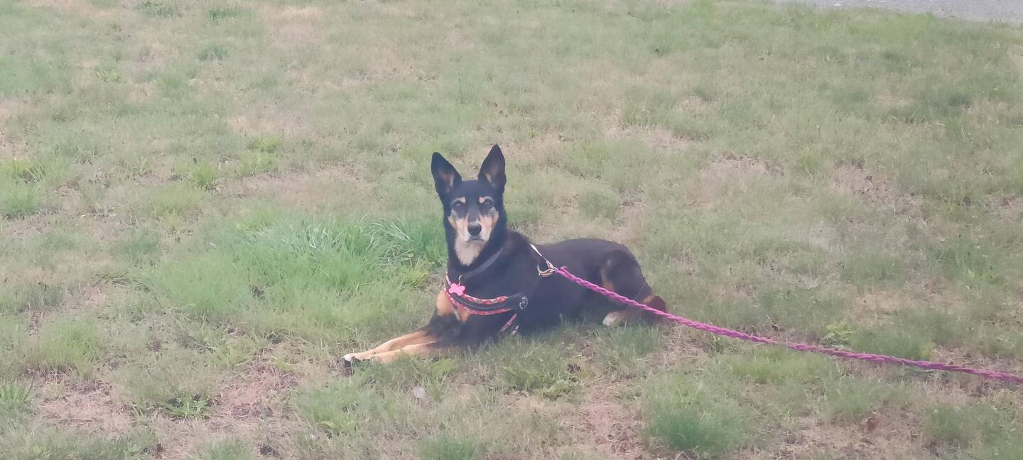 Ce matin au camping 😉