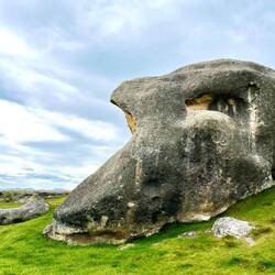Schaut für mich eher wie ein Affe von der Seite aus 🙈