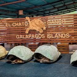 El Chato Ranch