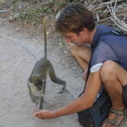 Man kann die Affen auch mit Erdnüssen füttern