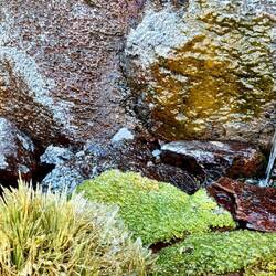 The 'source' is a series of springs providing permanent flow, furthest from the river mouth