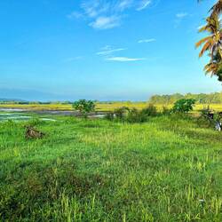 Hallo Herr Taxifahrer...? Er wusste gerade was er machen muss 🤣