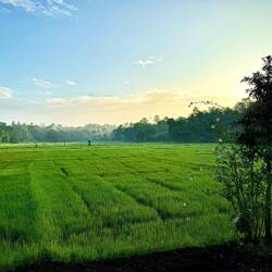 Hallo Herr Taxifahrer….! Können Sie bitte rechts ranfahren für ein Foto?