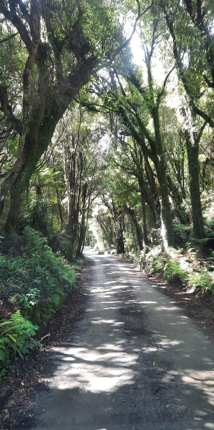 The drive into the lake