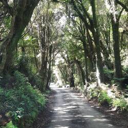 The drive into the lake