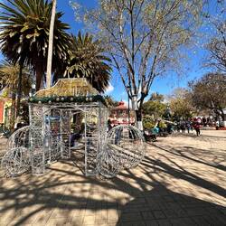 Hauptplatz/Zocalo auch noch mit Weihnachtsausstattung