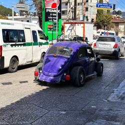 Käfer spezial - ohne Kotflügé