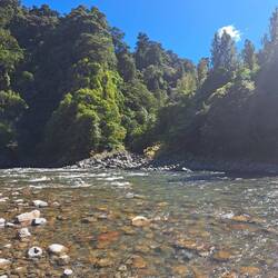 Der Waiohine Gorge mit sehr kaltem Wasser