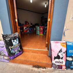 Katzen- und Hundefutter in Grosspackungen - kein Wunder liegt hier überall ...