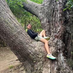 Hier hat Frodo sein Buch gelesen