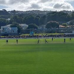Catching a cricket game