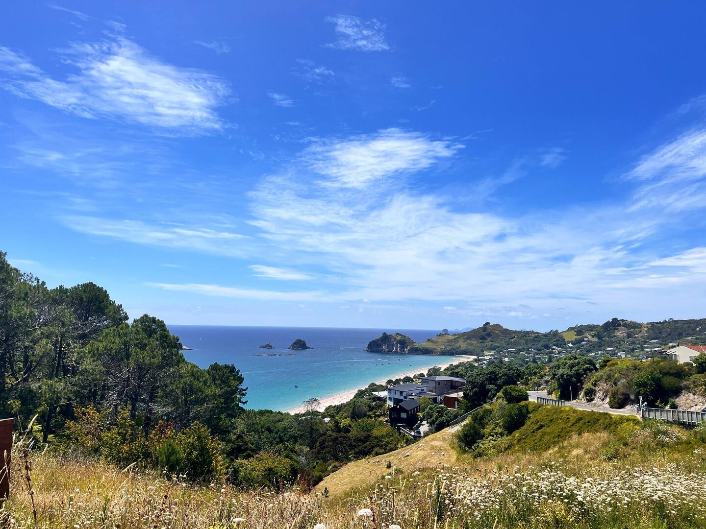 Blick auf den Hahei Beach