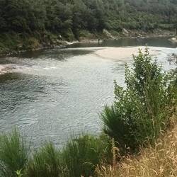 Buller River