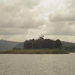 Die Punishment Island.