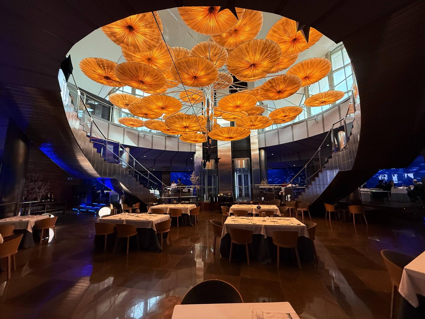 Mittagessen im Oceanografic
