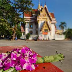 Wat Sao Thong Thong