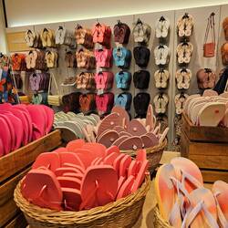 Shopping