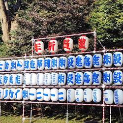Meiji Shrine lanterns