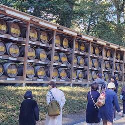 Bourgnogne Wine Barrels for Consecration