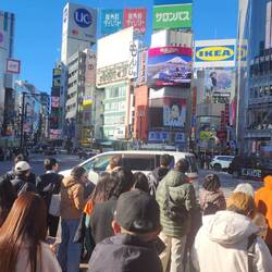 Shibuya Scramble Crossing
